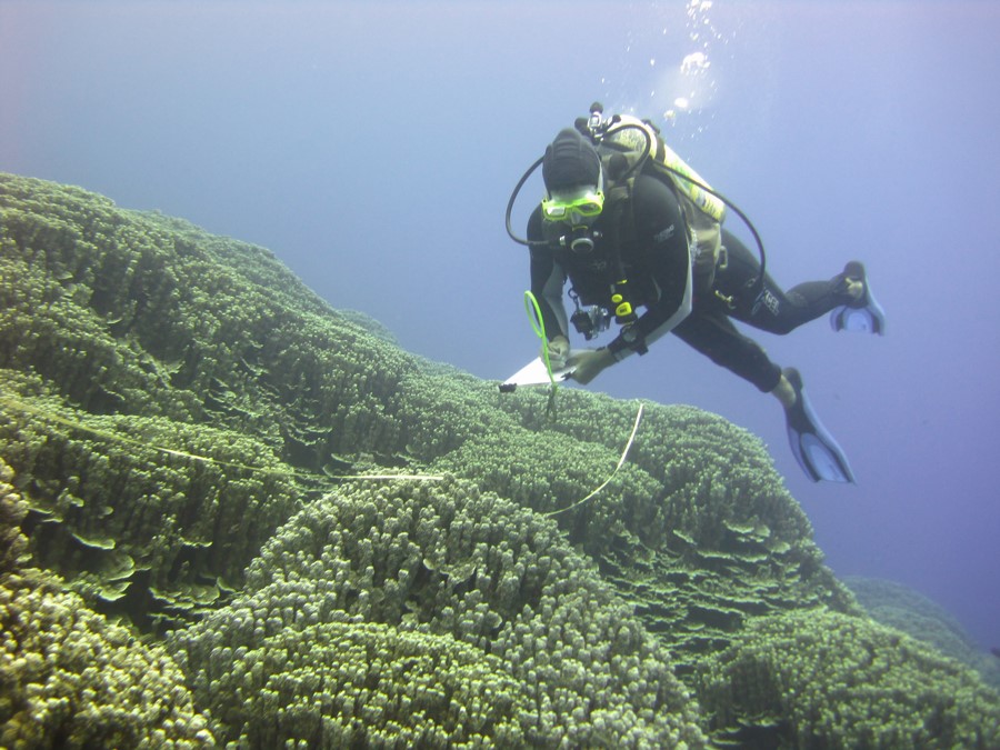ClientEarth believes that fragile ecosystems like the ocean can be protected through law